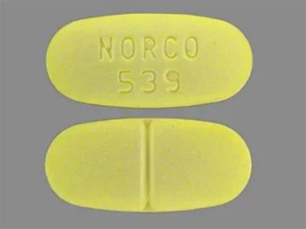 CV